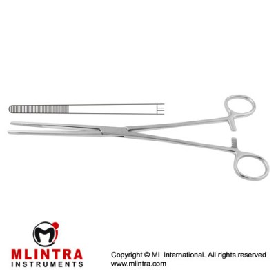 Bozemann Sponge Holding Forcep Straight Stainless Steel, 26 cm - 10 1/4"